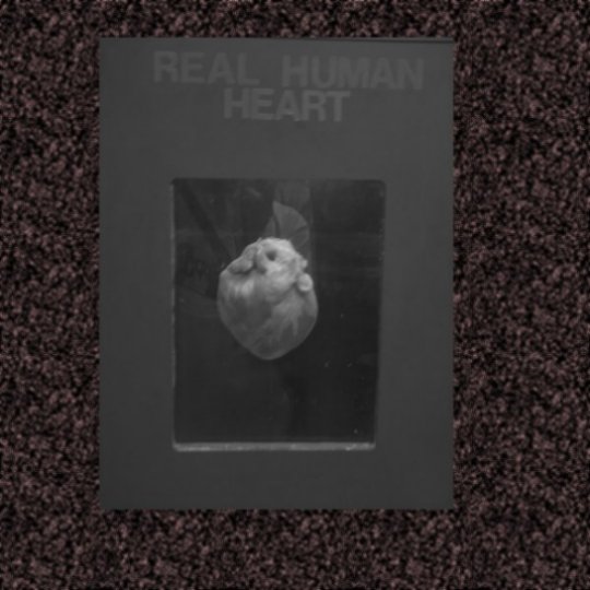 Real Human Heart